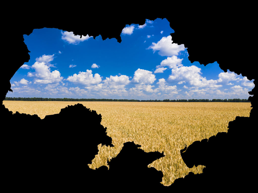 Київ 24